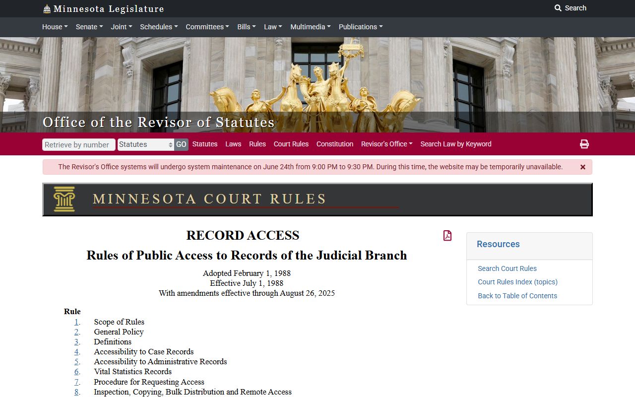 Rice County court dockets public access rules