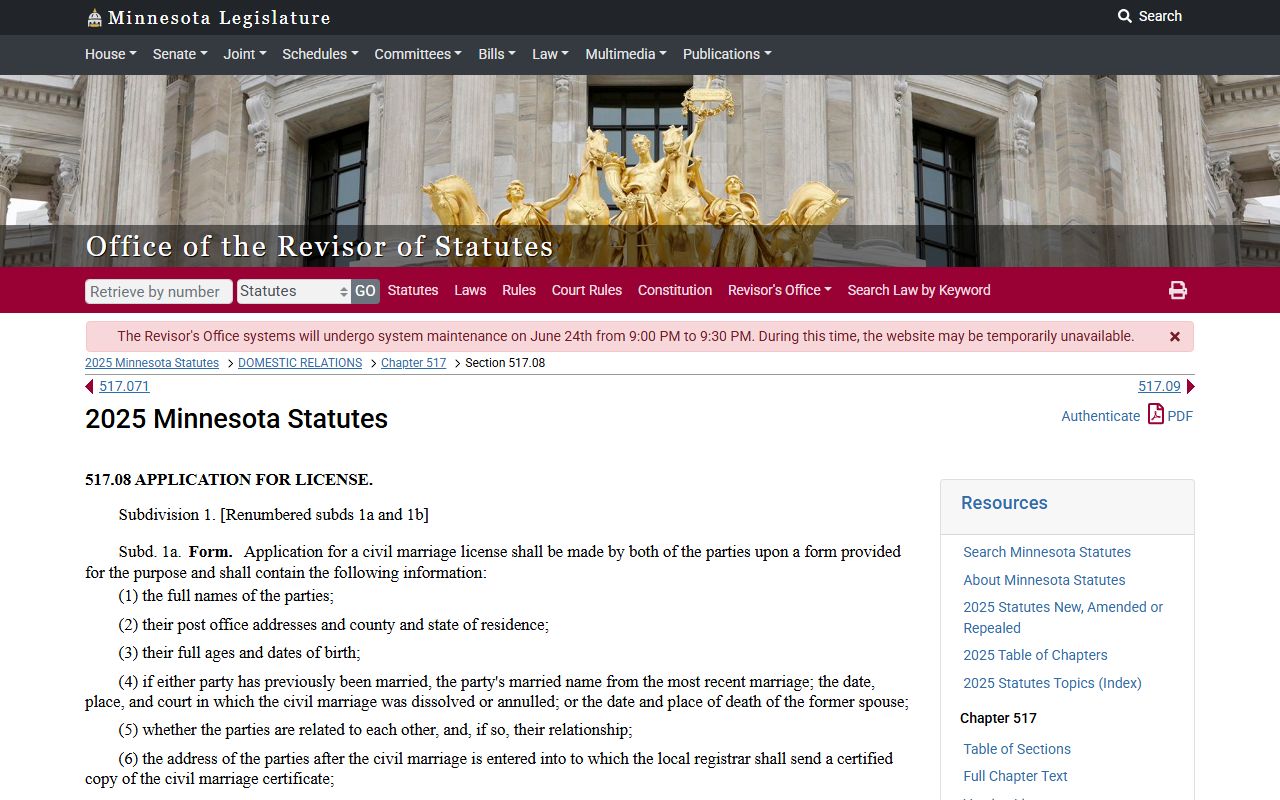 Rice County marriage records Minnesota marriage license statute